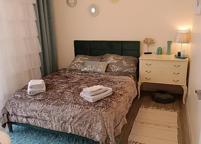Appartements F3 Design Colmar+Parking Free